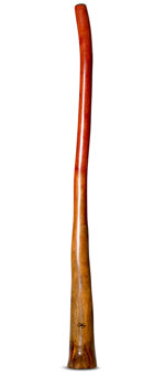 Tristan O'Meara Didgeridoo (TM316)